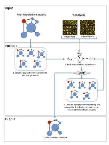 Description: Macintosh HD:Users:isaaccrespo:Desktop:XPRED_PLOSONE_SUBMISSION:figure_1.tiff